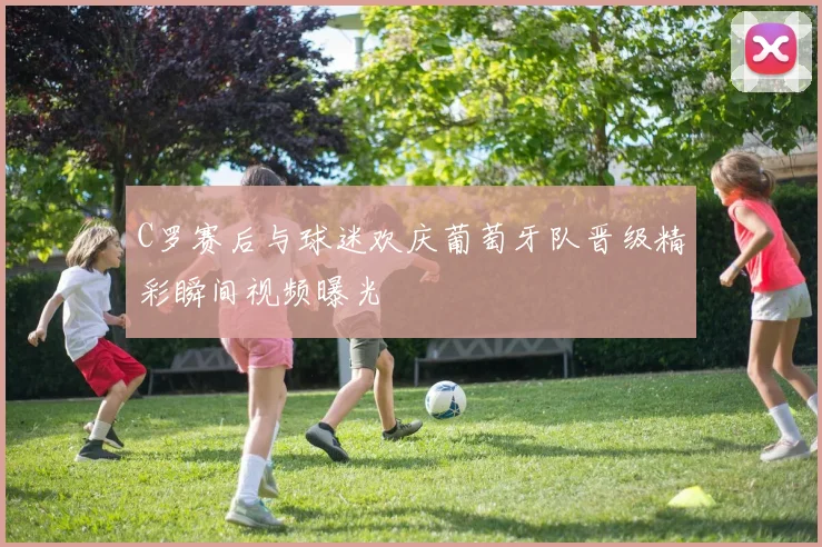 C罗赛后与球迷欢庆葡萄牙队晋级精彩瞬间视频曝光